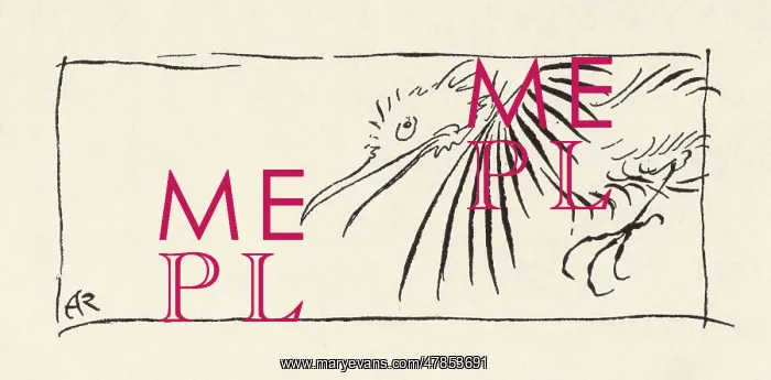 : Drawing of a Bird : Drawing of a Bird