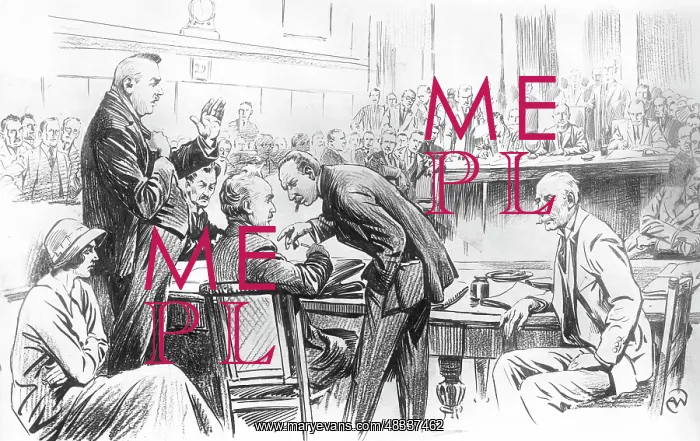 : Drawing depicting the investigation committee : Drawing depicting the investigation committee