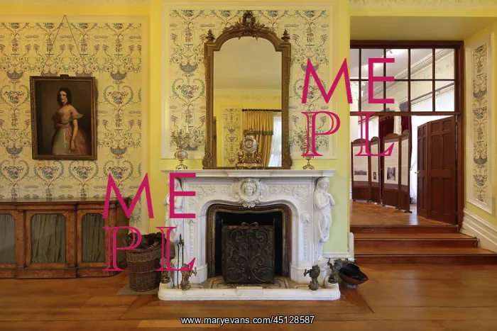 : Drawing Room, Kylemore Castle, County Galway, Ireland : Drawing Room, Kylemore Castle, County Galway, Ireland