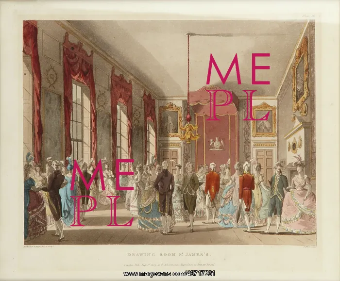 : The Drawing Room at St James's Palace : The Drawing Room at St James's Palace