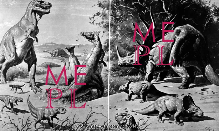 : Drawing Of Various Dinosaurs & : Drawing Of Various Dinosaurs &