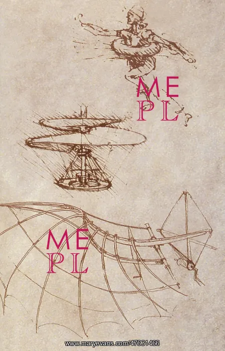 : Drawings by Leonardo Divinci : Drawings by Leonardo Divinci