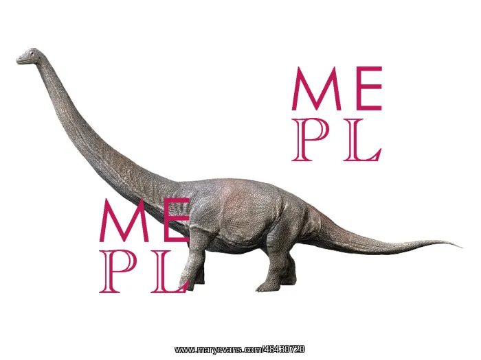 : Dreadnoughtus is a sauropod dinosaur from the Late ? : Dreadnoughtus is a sauropod dinosaur from the Late ?