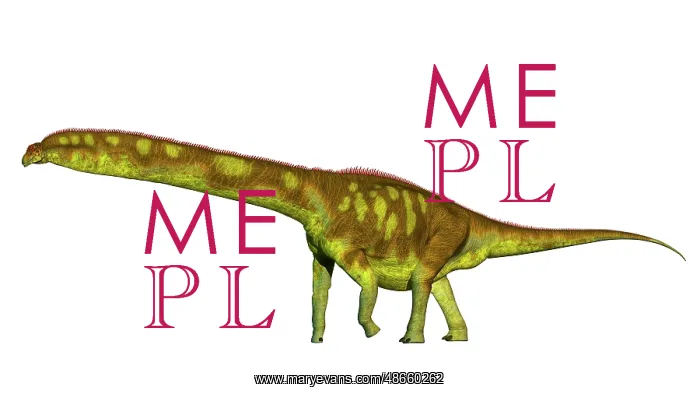 : Dreadnoughtus shrani dinosaur, side view on white background : Dreadnoughtus shrani dinosaur, side view on white background