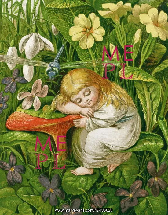 : The Dream of Delight - sleeping child : The Dream of Delight - sleeping child