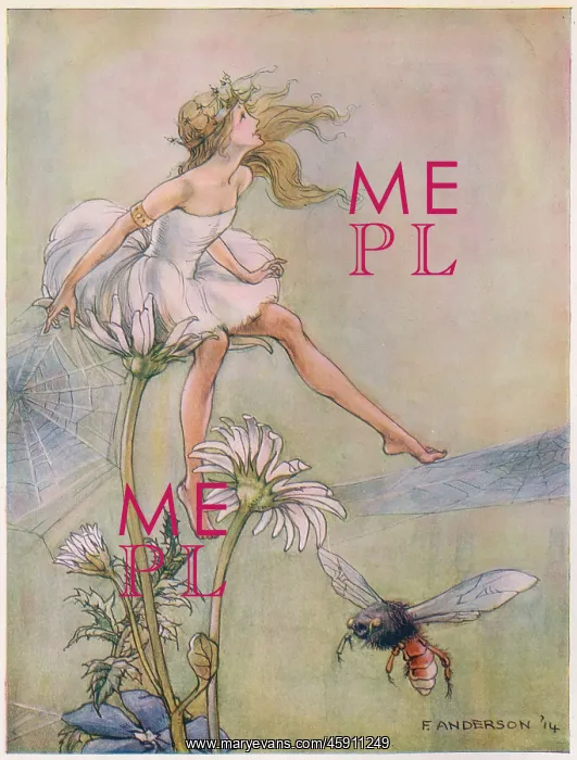 : The Dream Pedlar - Sat on the Top of a Large Daisy : The Dream Pedlar - Sat on the Top of a Large Daisy