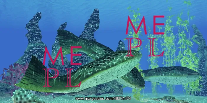 : Drepanaspis gemuendenensis, an extinct primitive jawless ? : Drepanaspis gemuendenensis, an extinct primitive jawless ?