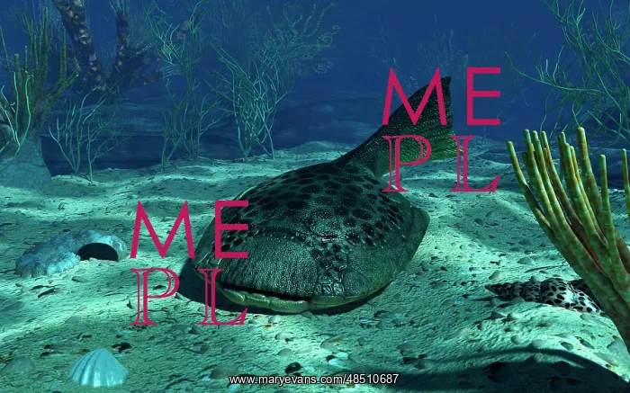 : A Drepanaspis on the bottom of a shallow Devonian sea : A Drepanaspis on the bottom of a shallow Devonian sea
