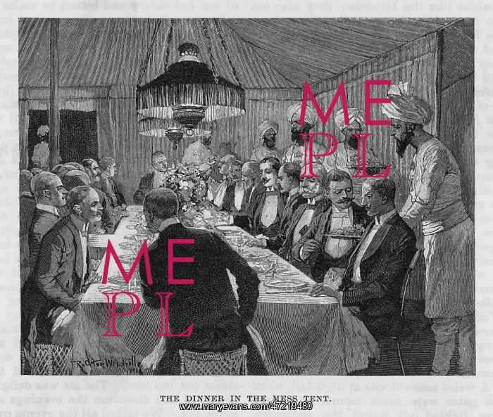 : Dressed for Dinner : Dressed for Dinner