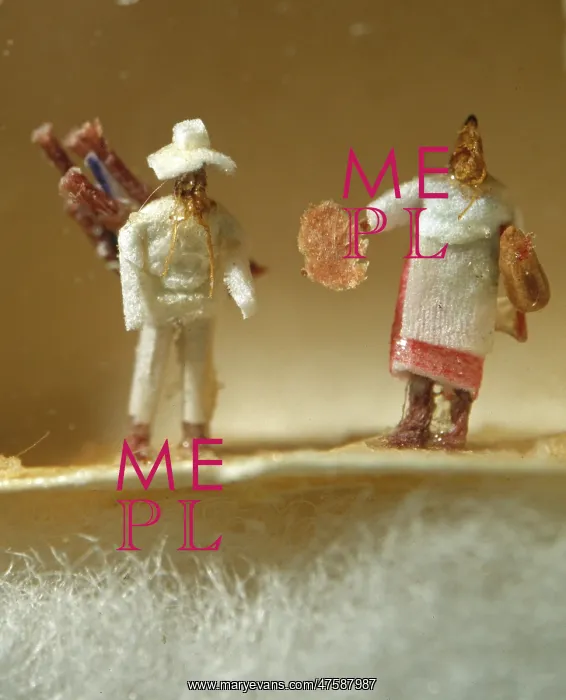 : Dressed fleas : Dressed fleas