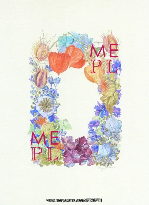  : Dried Flower Border Design