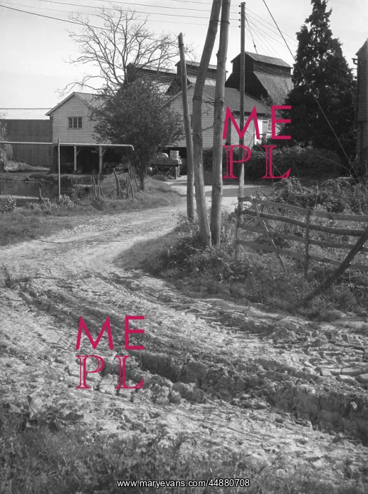 : DRIED MUD COUNTRY LANE : DRIED MUD COUNTRY LANE