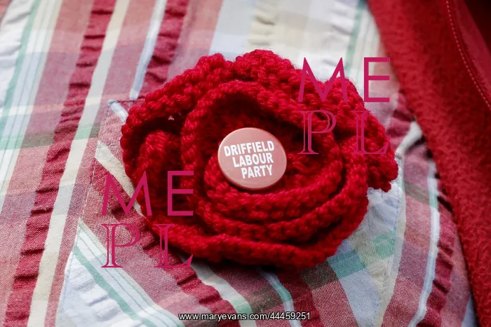 : Driffield Labour Party Rosette : Driffield Labour Party Rosette