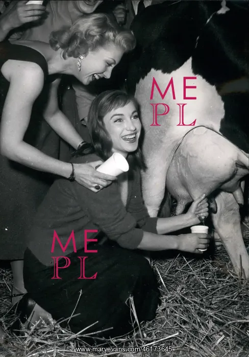 : Drink Milk Campaign, milking a cow, Paris night cabaret club : Drink Milk Campaign, milking a cow, Paris night cabaret club