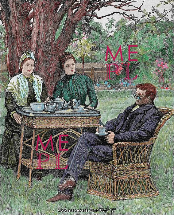  : Drinking coffee in the garden. Colored engraving, 1876
