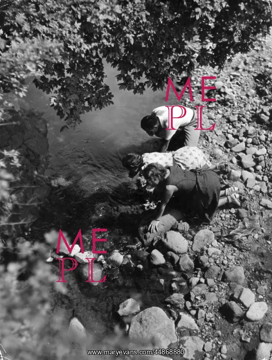 : DRINKING FROM A STREAM : DRINKING FROM A STREAM