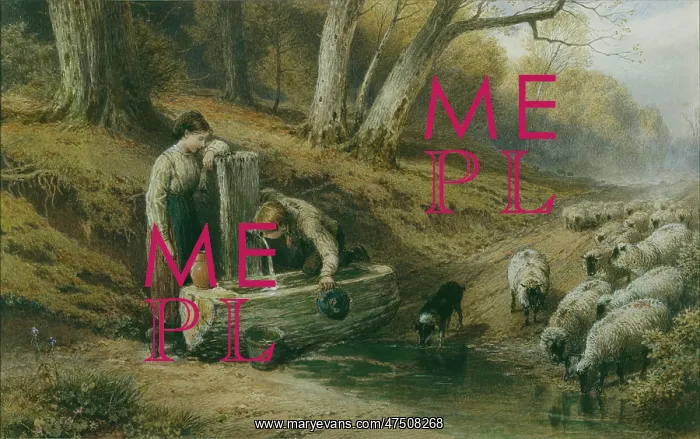 : Drinking at the Water Trough : Drinking at the Water Trough