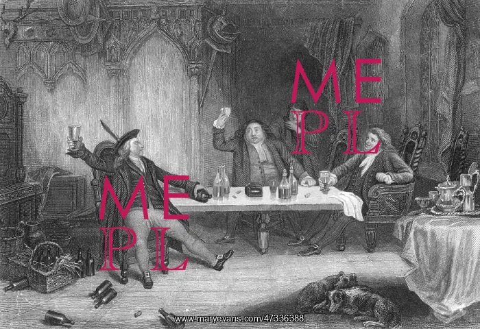 : DRINKS IN BARONIAL HALL : DRINKS IN BARONIAL HALL