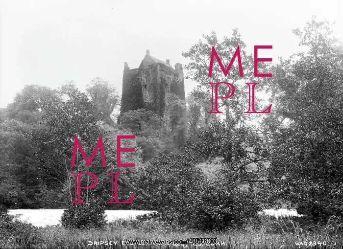: Dripsey Castle on R. Lee, Co. Cork : Dripsey Castle on R. Lee, Co. Cork