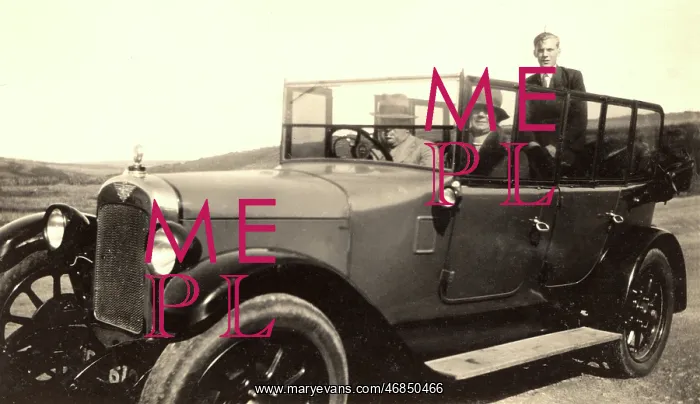 : Drive into the country : Drive into the country