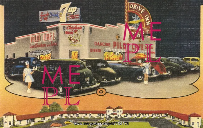 : Drive-In Cafe : Drive-In Cafe