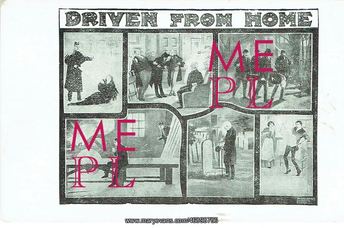  : Driven From Home by Gilbert Hastings Macdermott