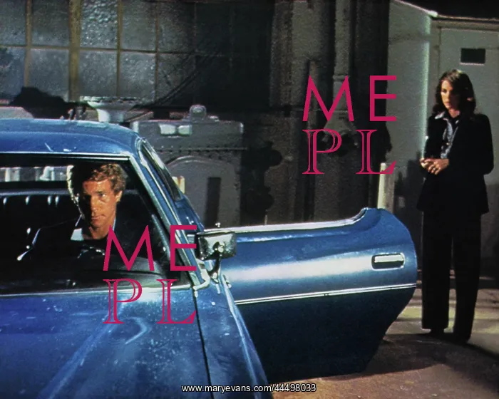 : The Driver (1978) : The Driver (1978)