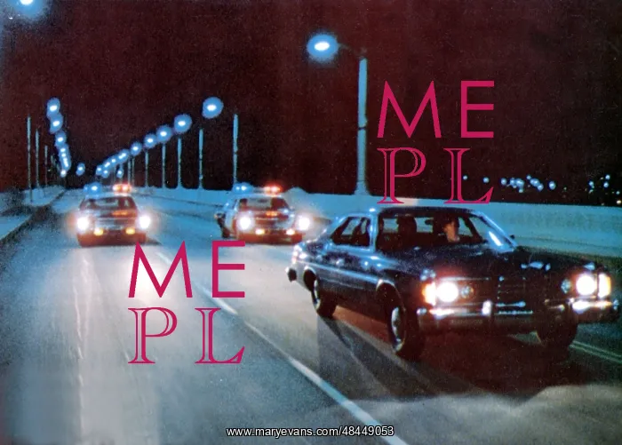 : The Driver : The Driver