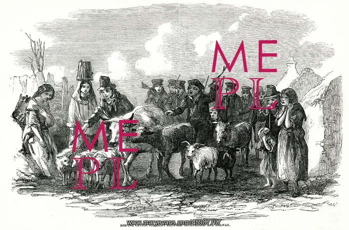 : Driving cattle for rent in Ireland 1849 : Driving cattle for rent in Ireland 1849