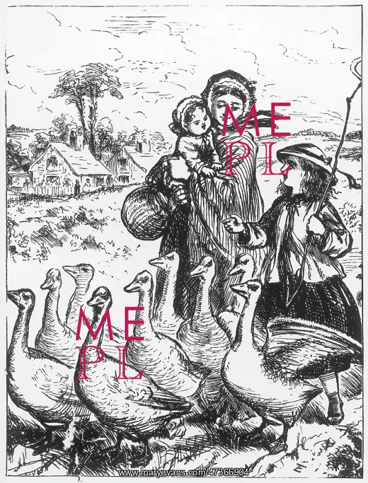 : DRIVING GEESE TO FAIR