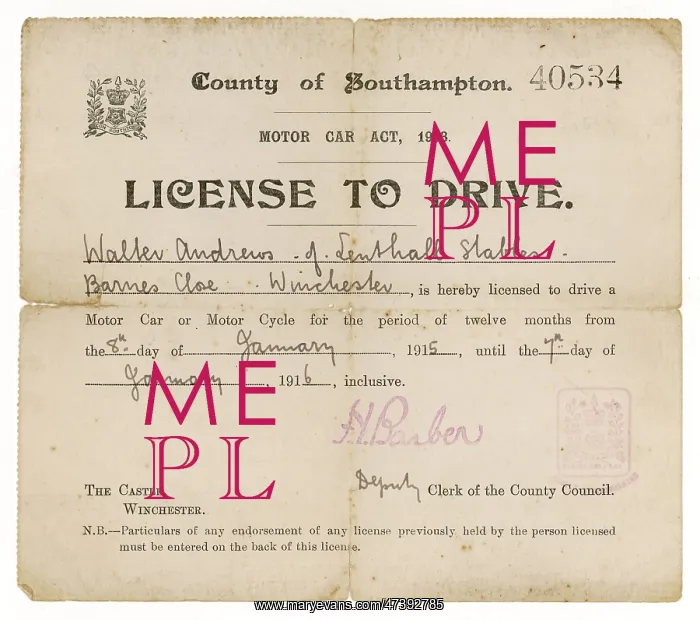 : Driving Licence : Driving Licence
