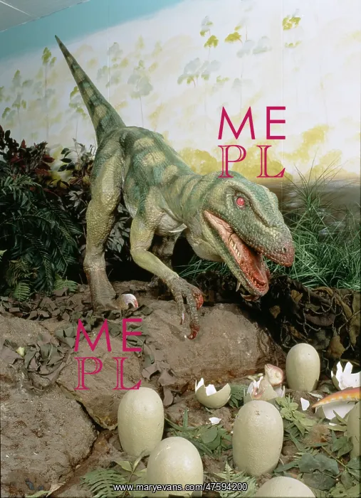 : Dromaeosaurus : Dromaeosaurus