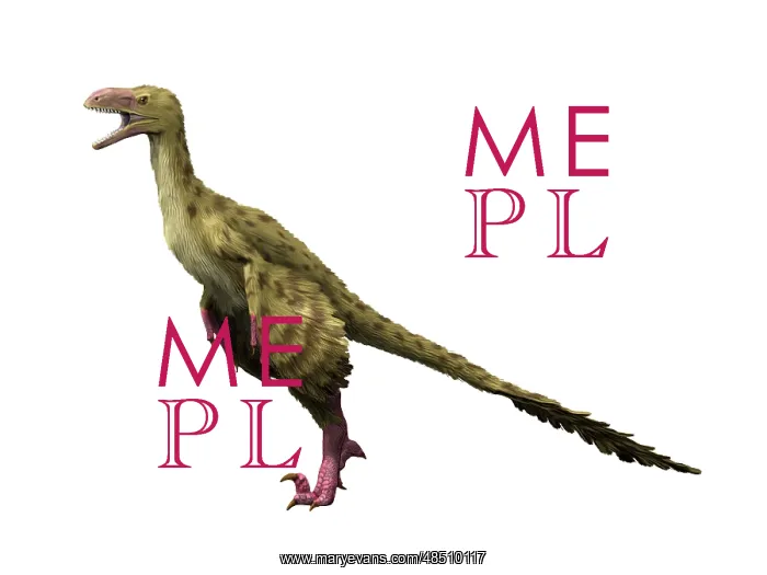 : Dromaeosaurus dinosaur : Dromaeosaurus dinosaur