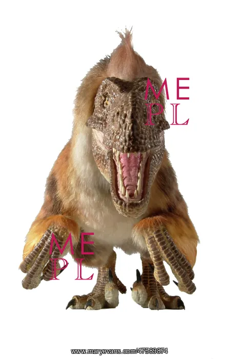 : Dromaeosaurus, Fuzzy raptor : Dromaeosaurus, Fuzzy raptor