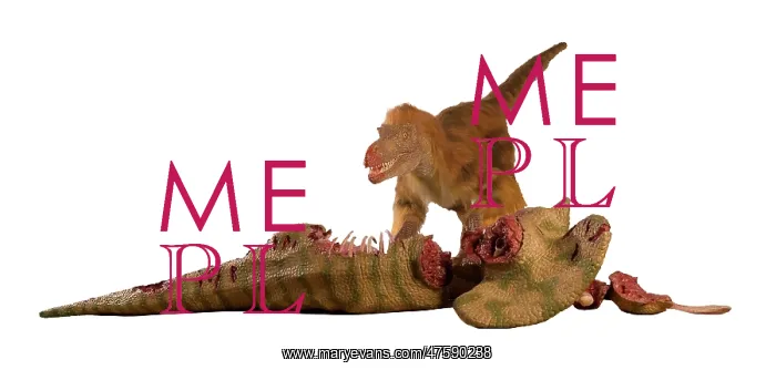 : Dromaeosaurus, Fuzzy Raptor : Dromaeosaurus, Fuzzy Raptor
