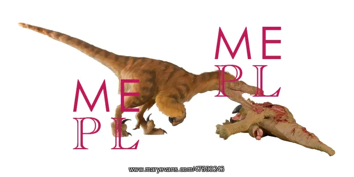 : Dromaeosaurus, Fuzzy Raptor : Dromaeosaurus, Fuzzy Raptor