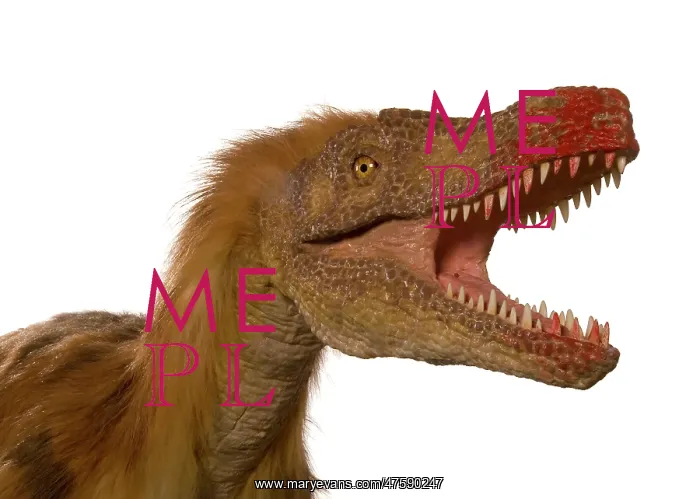 : Dromaeosaurus, Fuzzy Raptor : Dromaeosaurus, Fuzzy Raptor