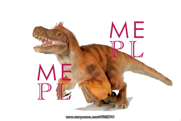 : Dromaeosaurus, fuzzy raptor : Dromaeosaurus, fuzzy raptor
