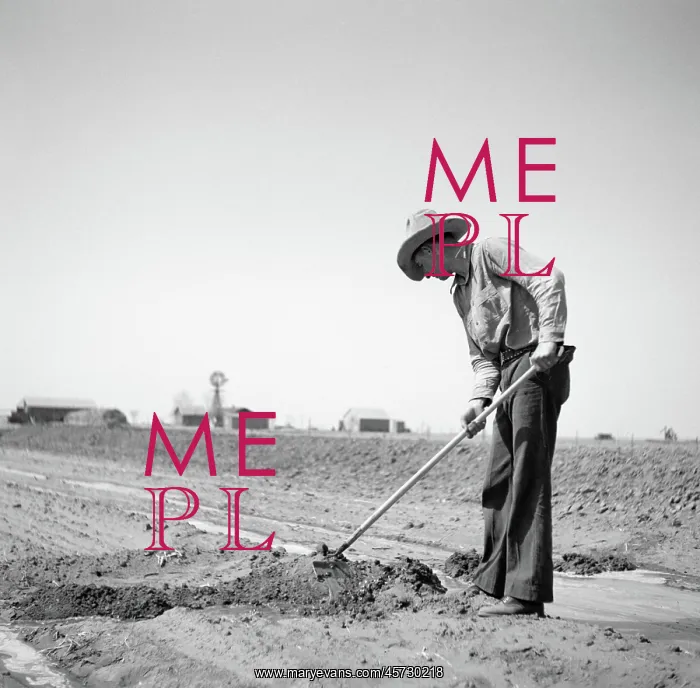 : Drought - dust bowl - irrigation - agriculture : Drought - dust bowl - irrigation - agriculture