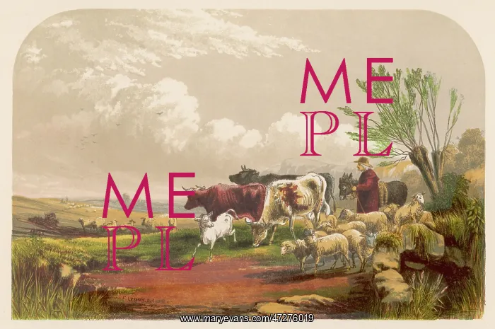 : DROVER WITH COWS, SHEEP : DROVER WITH COWS, SHEEP
