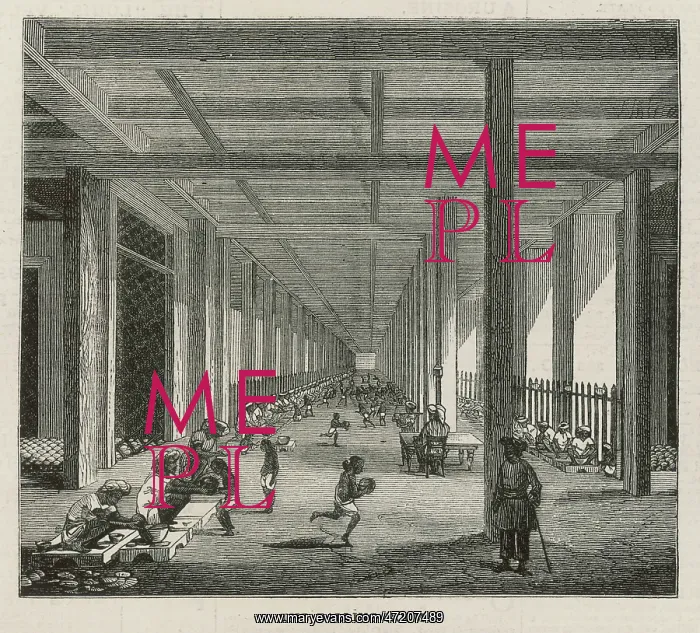 : DRUGS / OPIUM FACTORY - 3 : DRUGS / OPIUM FACTORY - 3