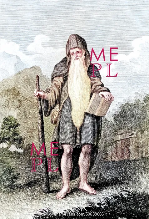: Druid. A druid was a member of the educated, professional class among the : Druid. A druid was a member of the educated, professional class among the