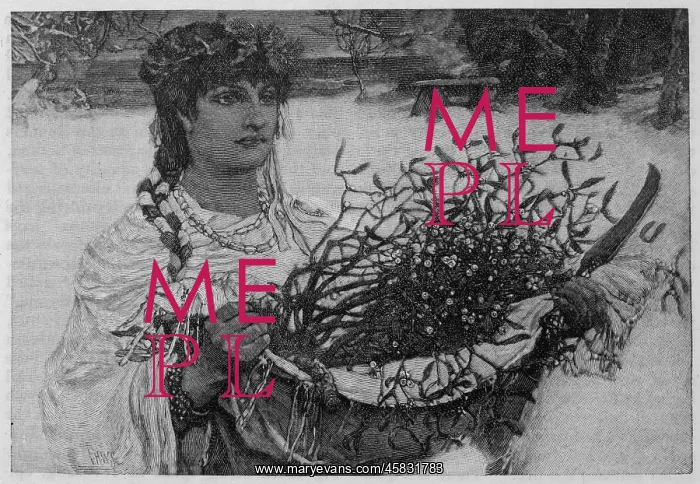  : Druid Priestess with sacred mistletoe