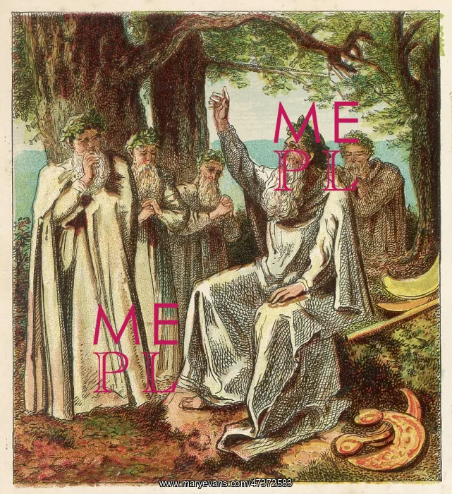 : Druids. Druid priests of Ancient Britain in contemplative mood in a forest : Druids. Druid priests of Ancient Britain in contemplative mood in a forest