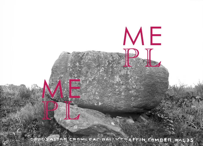 : Druid's Alter Cromlech, Ballygraffin, Comber : Druid's Alter Cromlech, Ballygraffin, Comber
