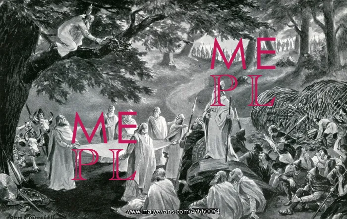: Druids cut mistletoe : Druids cut mistletoe