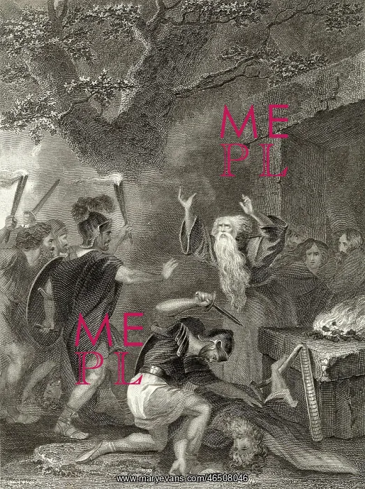 : Druids Massacred in AD 61 : Druids Massacred in AD 61