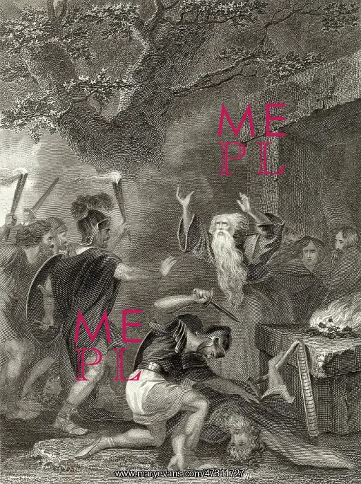 : Druids Massacred in AD 61 : Druids Massacred in AD 61