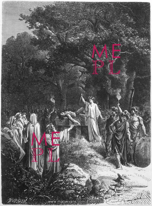 : Druids performing sacrifice : Druids performing sacrifice