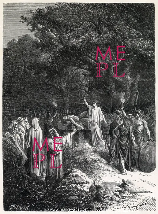  : Druids performing sacrifice